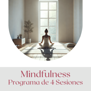 Programa de Mindfulness Online - 4 Sesiones